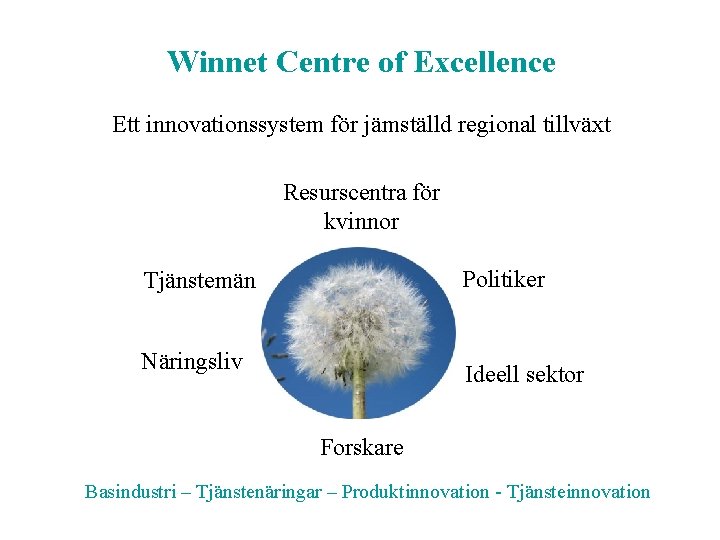 Winnet Centre of Excellence Ett innovationssystem för jämställd regional tillväxt Resurscentra för kvinnor Politiker
