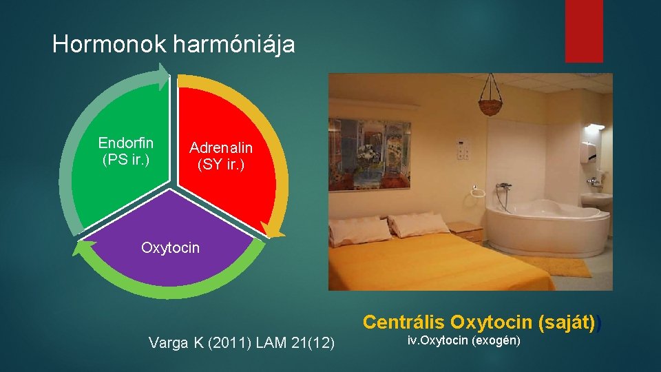 Hormonok harmóniája Endorfin (PS ir. ) Adrenalin (SY ir. ) Oxytocin Centrális Oxytocin (saját))