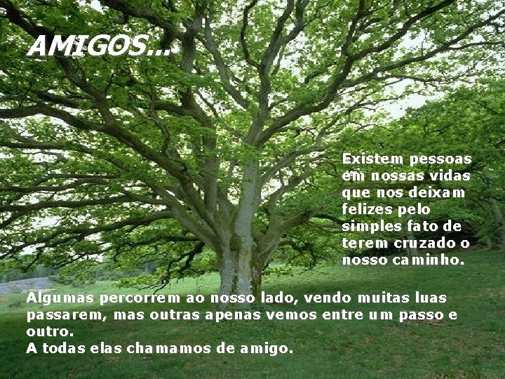 AMIGOS. . . Existem pessoas em nossas vidas que nos deixam felizes pelo simples