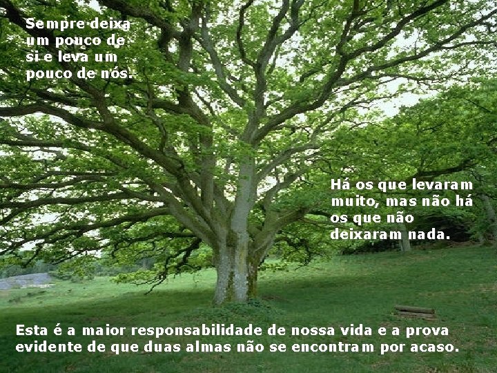 Sempre deixa um pouco de si e leva um pouco de nós. Há os Sempre deixa um pouco de si e leva um pouco de nós. Há os