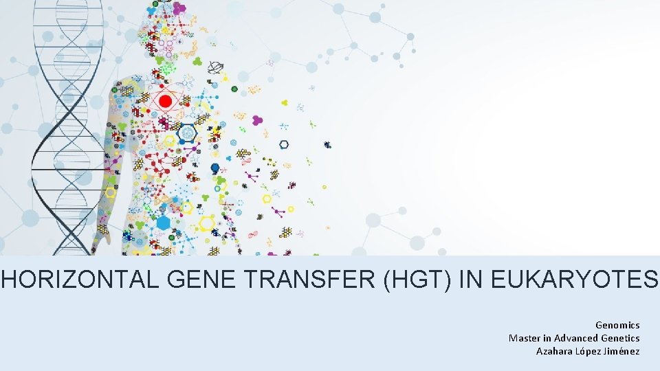 HORIZONTAL GENE TRANSFER (HGT) IN EUKARYOTES Genomics Master in Advanced Genetics Azahara López Jiménez