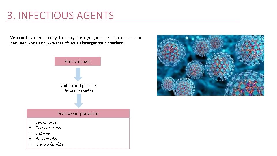 3. INFECTIOUS AGENTS Viruses have the ability to carry foreign genes and to move