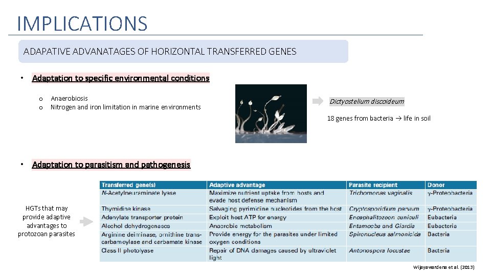 IMPLICATIONS ADAPATIVE ADVANATAGES OF HORIZONTAL TRANSFERRED GENES • Adaptation to specific environmental conditions o