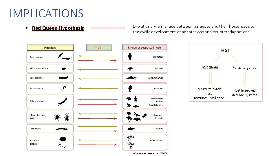 IMPLICATIONS • Red Queen Hypothesis Evolutionary arms race between parasites and their hosts leads