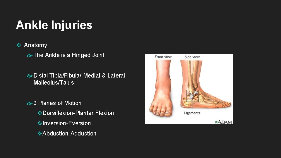 Ankle Injuries v Anatomy The Ankle is a Hinged Joint Distal Tibia/Fibula/ Medial &