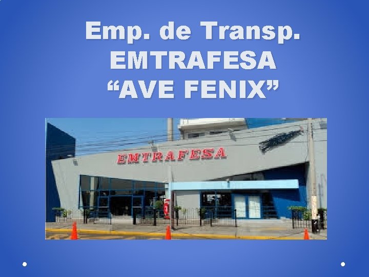 Emp. de Transp. EMTRAFESA “AVE FENIX” 