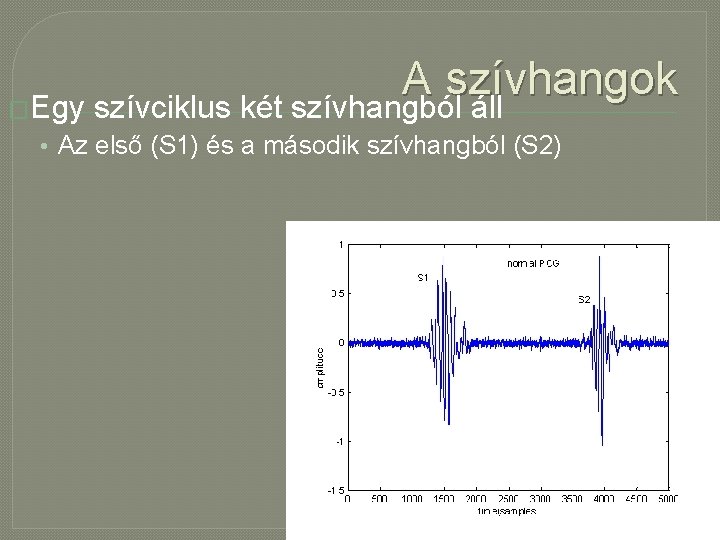 A szívhangok �Egy szívciklus két szívhangból áll • Az első (S 1) és a