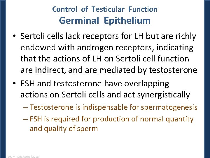 Control of Testicular Function Germinal Epithelium • Sertoli cells lack receptors for LH but Control of Testicular Function Germinal Epithelium • Sertoli cells lack receptors for LH but