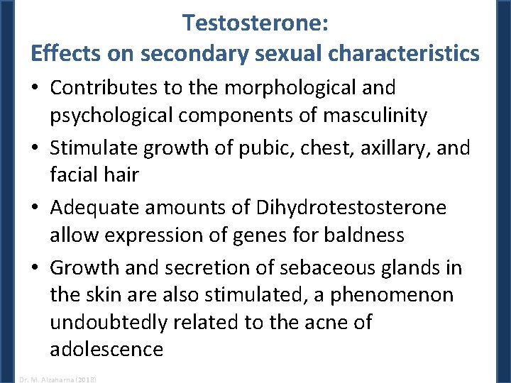 Testosterone: Effects on secondary sexual characteristics • Contributes to the morphological and psychological components Testosterone: Effects on secondary sexual characteristics • Contributes to the morphological and psychological components