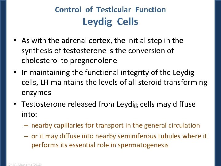 Control of Testicular Function Leydig Cells • As with the adrenal cortex, the initial Control of Testicular Function Leydig Cells • As with the adrenal cortex, the initial