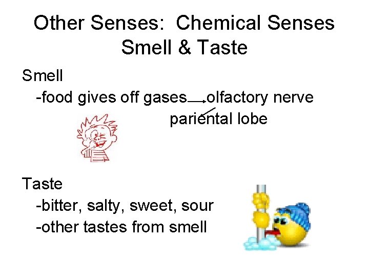 Other Senses: Chemical Senses Smell & Taste Smell -food gives off gases olfactory nerve