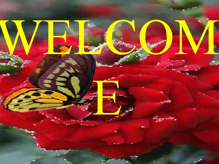 WELCOM E 