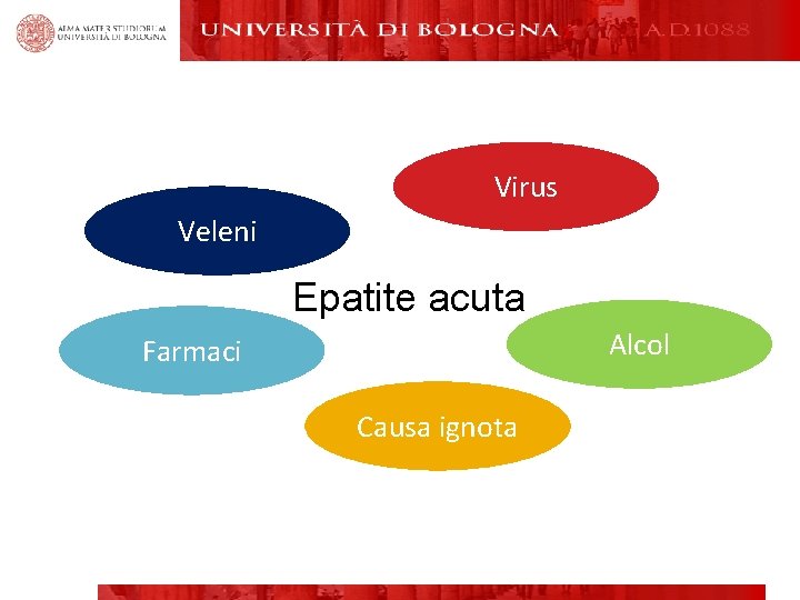 Virus Veleni Epatite acuta Alcol Farmaci Causa ignota 