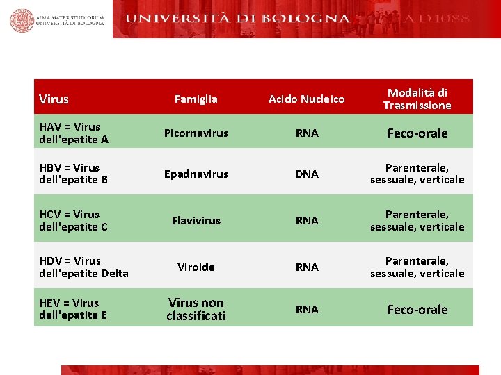 Famiglia Acido Nucleico Modalità di Trasmissione HAV = Virus dell'epatite A Picornavirus RNA Feco-orale