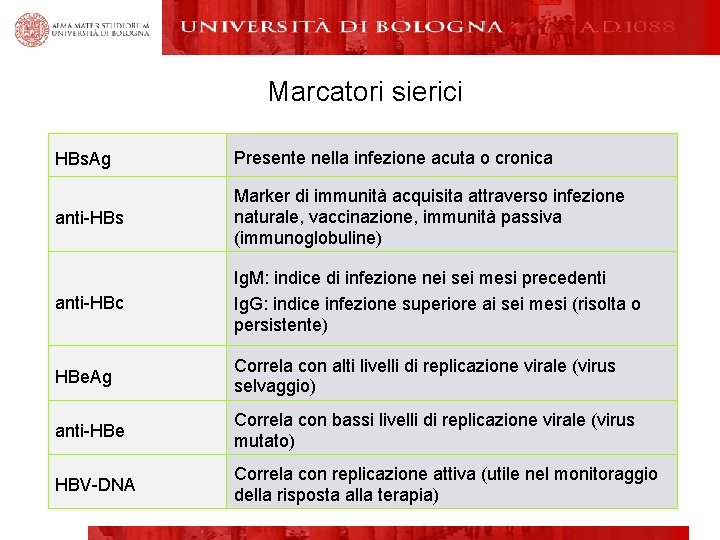 Marcatori sierici HBs. Ag Presente nella infezione acuta o cronica anti-HBs Marker di immunità