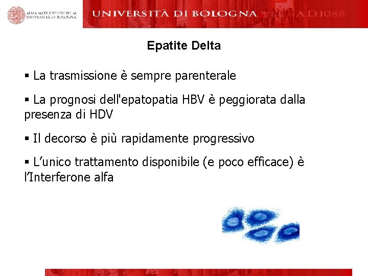 Epatite Delta § La trasmissione è sempre parenterale § La prognosi dell'epatopatia HBV è