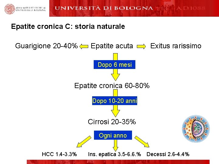 Epatite cronica C: storia naturale Guarigione 20 -40% Epatite acuta Exitus rarissimo Dopo 6