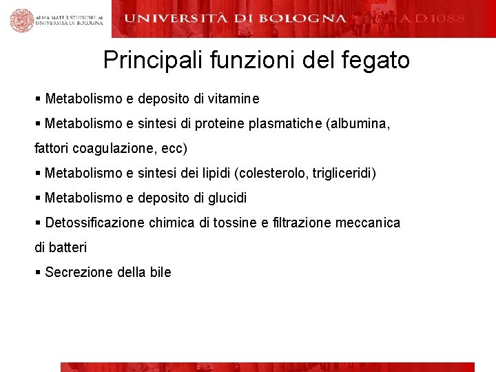Principali funzioni del fegato § Metabolismo e deposito di vitamine § Metabolismo e sintesi