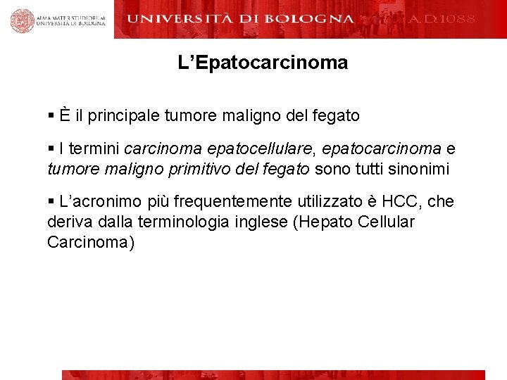 L’Epatocarcinoma § È il principale tumore maligno del fegato § I termini carcinoma epatocellulare,