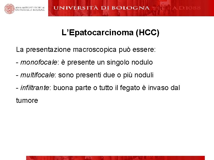 L’Epatocarcinoma (HCC) La presentazione macroscopica può essere: - monofocale: è presente un singolo nodulo