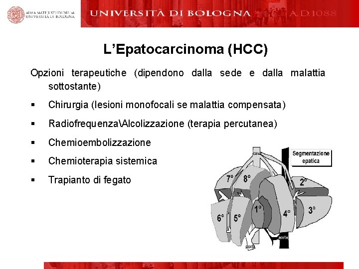 L’Epatocarcinoma (HCC) Opzioni terapeutiche (dipendono dalla sede e dalla malattia sottostante) § Chirurgia (lesioni