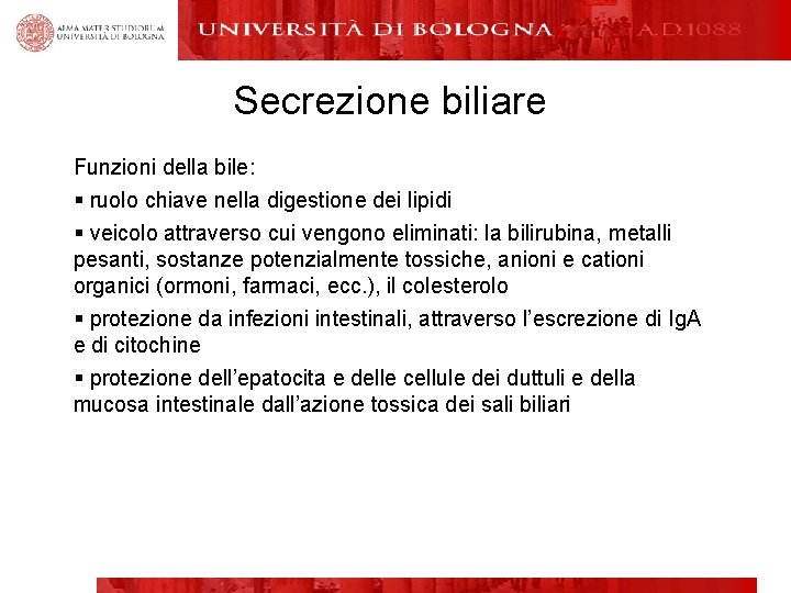 Secrezione biliare Funzioni della bile: § ruolo chiave nella digestione dei lipidi § veicolo