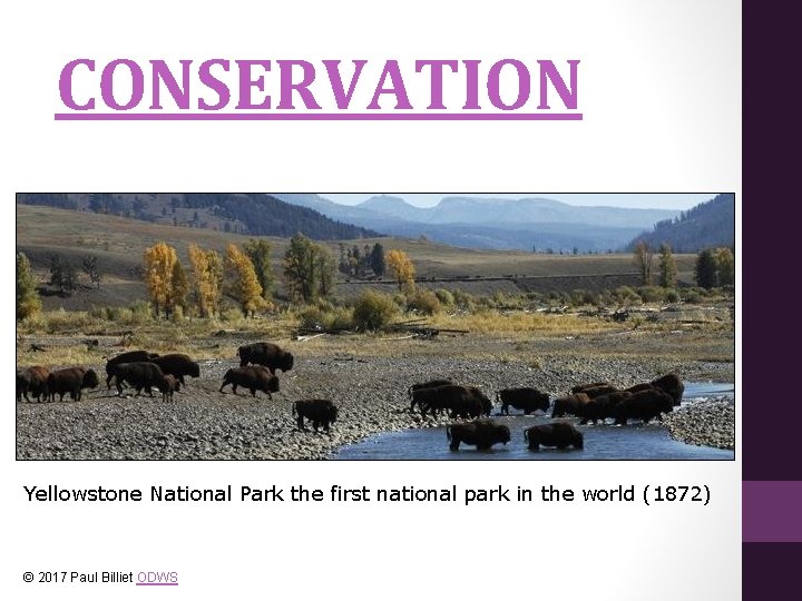 CONSERVATION Yellowstone National Park the first national park in the world (1872) © 2017