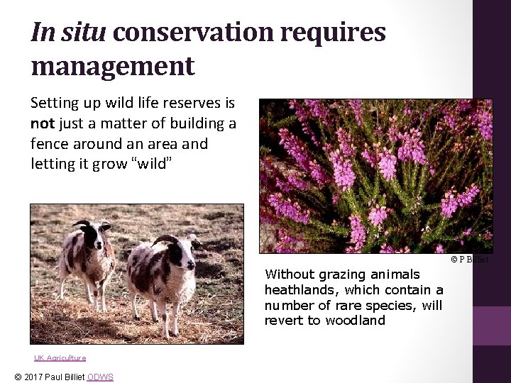 In situ conservation requires management Setting up wild life reserves is not just a