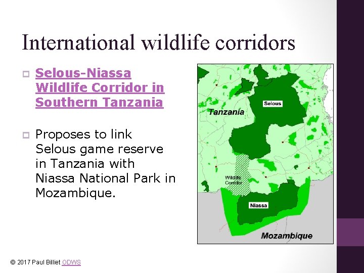 International wildlife corridors p Selous-Niassa Wildlife Corridor in Southern Tanzania p Proposes to link