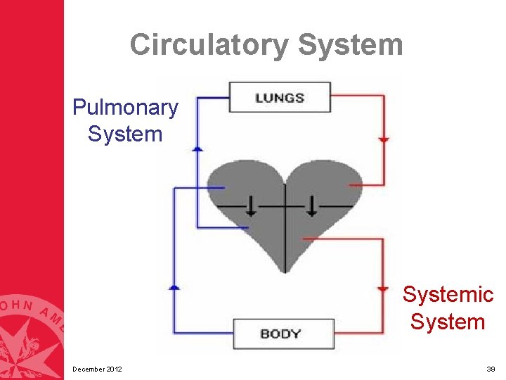Circulatory System Pulmonary Systemic System December 2012 39 Circulatory System Pulmonary Systemic System December 2012 39