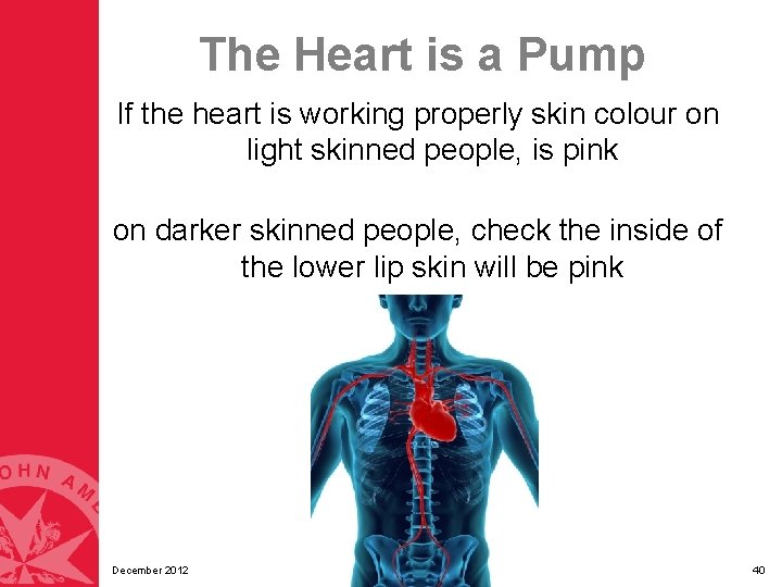 The Heart is a Pump If the heart is working properly skin colour on The Heart is a Pump If the heart is working properly skin colour on