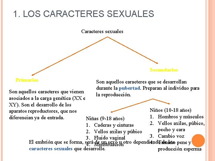 UD 6 LA REPRODUCCIN 1 LOS CARACTERES SEXUALES