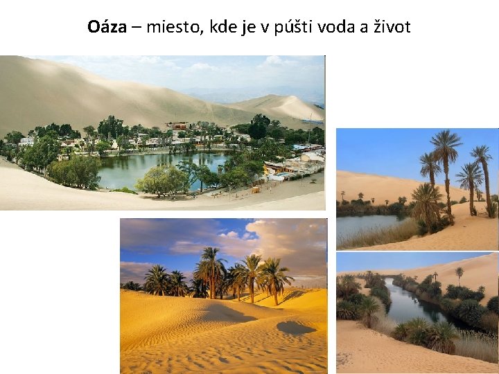 Oáza – miesto, kde je v púšti voda a život 