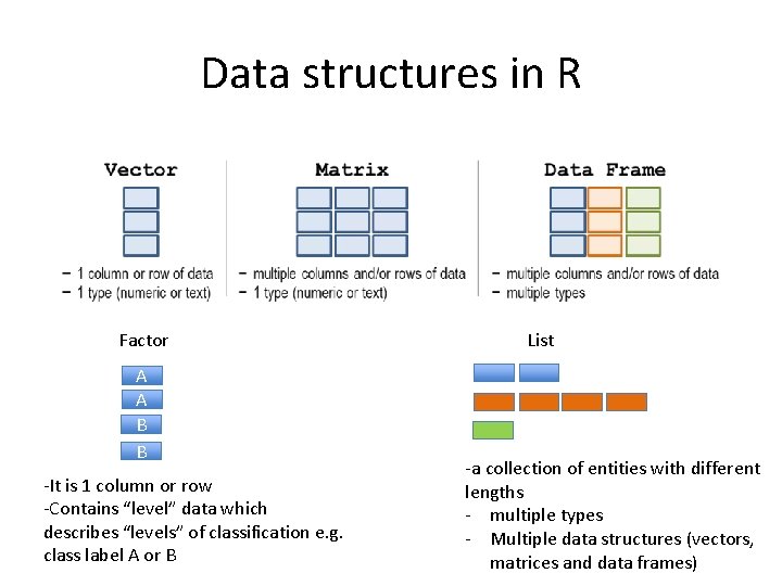 Data structures in R Factor A A B B -It is 1 column or