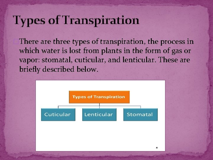Types of Transpiration �There are three types of transpiration, the process in which water Types of Transpiration �There are three types of transpiration, the process in which water