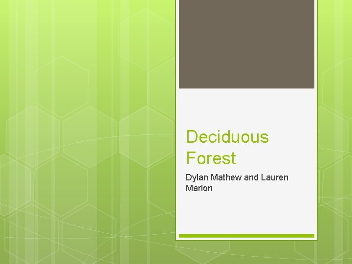 Deciduous Forest Dylan Mathew and Lauren Marion Deciduous Forest Dylan Mathew and Lauren Marion