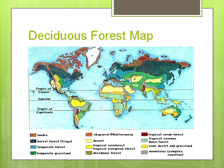 Deciduous Forest Map Deciduous Forest Map