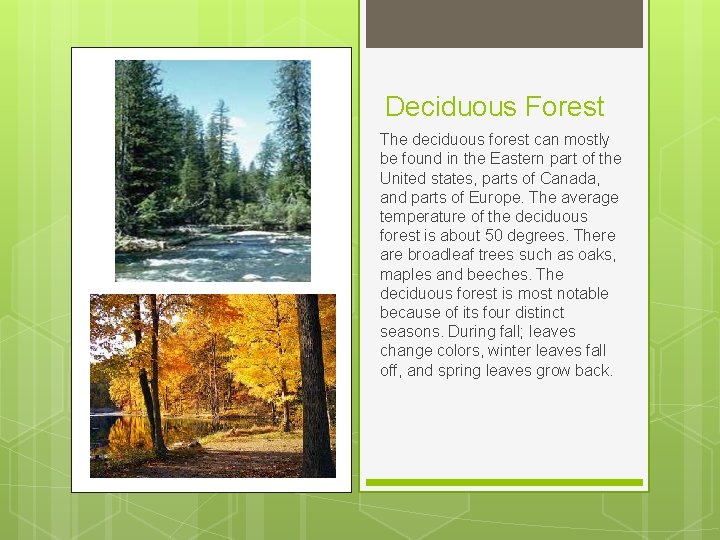 Deciduous Forest The deciduous forest can mostly be found in the Eastern part of Deciduous Forest The deciduous forest can mostly be found in the Eastern part of