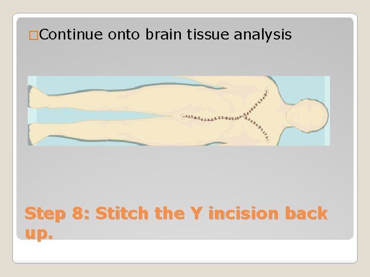 �Continue onto brain tissue analysis Step 8: Stitch the Y incision back up. 