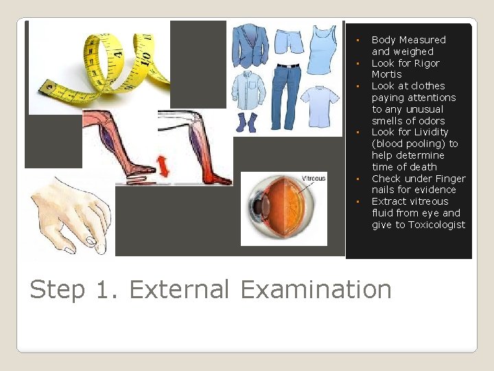  • • • Body Measured and weighed Look for Rigor Mortis Look at