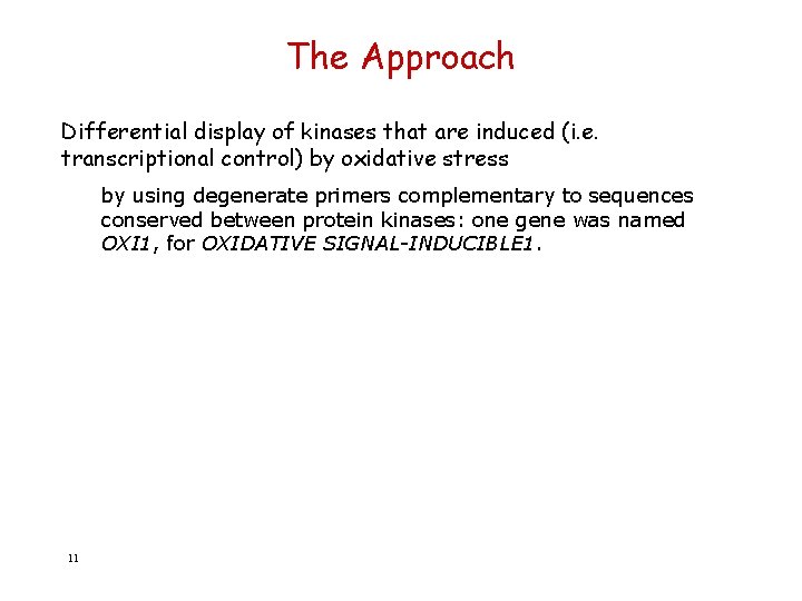 The Approach Differential display of kinases that are induced (i. e. transcriptional control) by