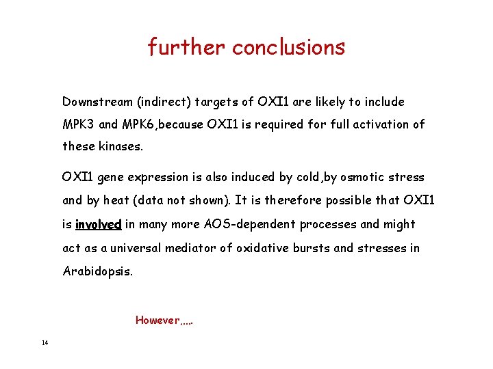 further conclusions Downstream (indirect) targets of OXI 1 are likely to include MPK 3