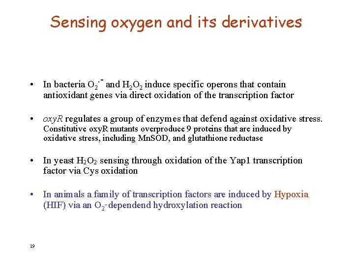 Sensing oxygen and its derivatives • In bacteria O 2. - and H 2