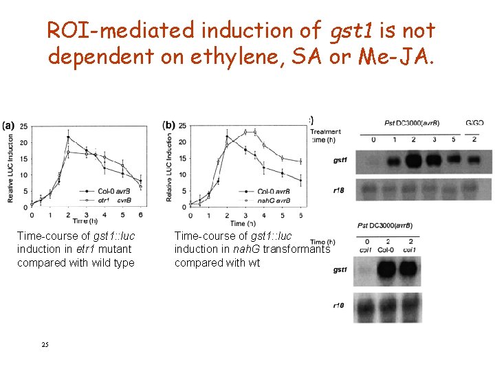 ROI-mediated induction of gst 1 is not dependent on ethylene, SA or Me-JA. Time-course