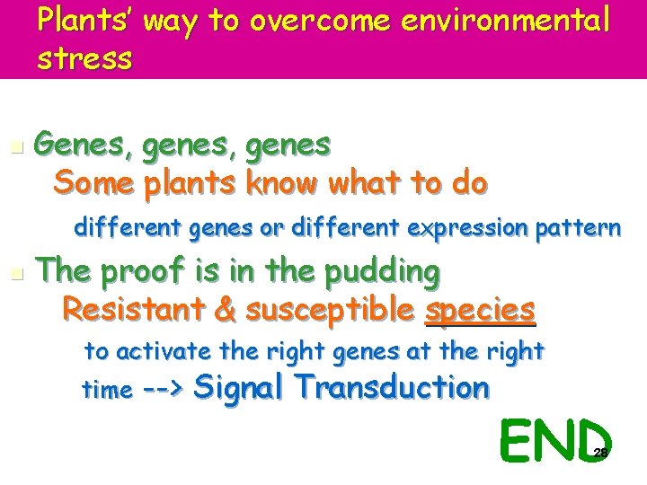 Plants’ way to overcome environmental stress n Genes, genes Some plants know what to