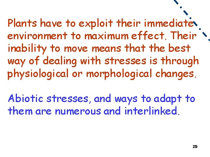 Plants have to exploit their immediate environment to maximum effect. Their inability to move
