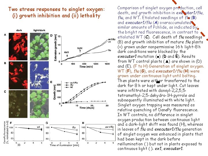 Two stress responses to singlet oxygen: (i) growth inhibition and (ii) lethality 33 Comparison