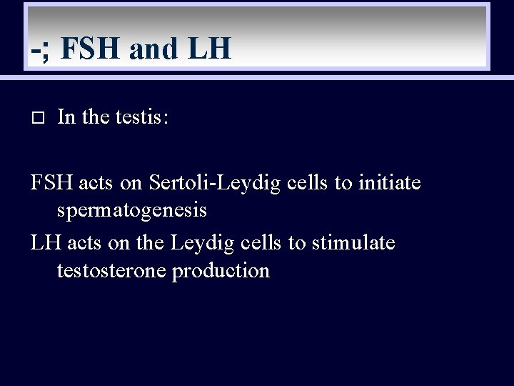 -; FSH and LH o In the testis: FSH acts on Sertoli-Leydig cells to