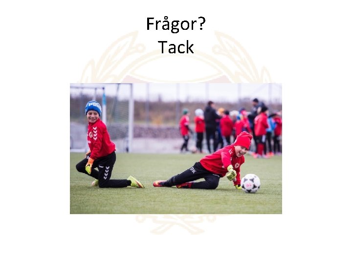 Frågor? Tack 