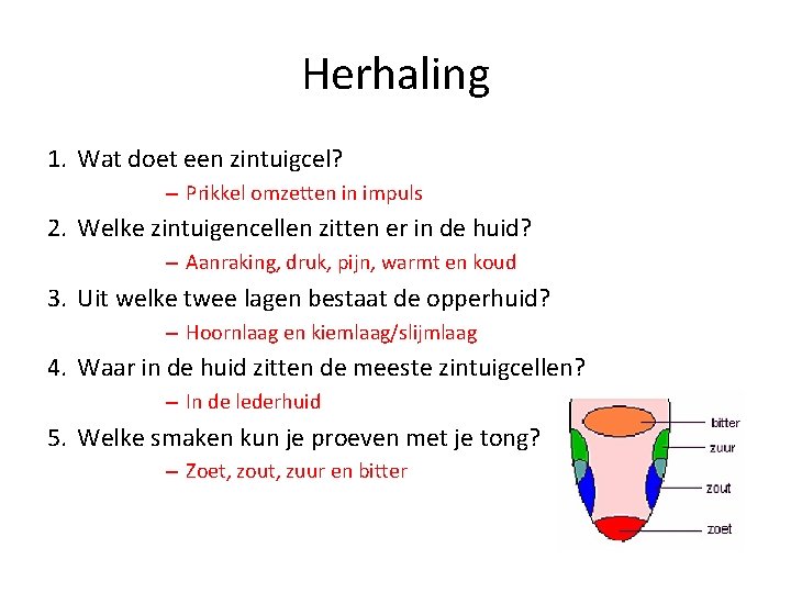 Herhaling 1. Wat doet een zintuigcel? – Prikkel omzetten in impuls 2. Welke zintuigencellen Herhaling 1. Wat doet een zintuigcel? – Prikkel omzetten in impuls 2. Welke zintuigencellen